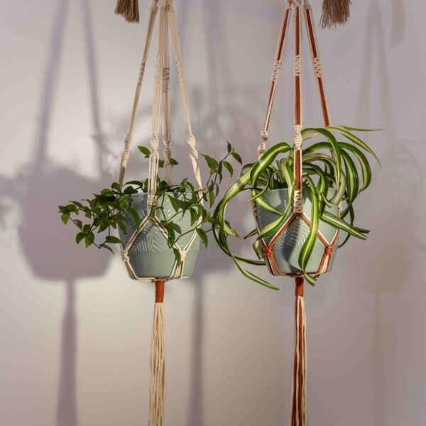 Werkraumliebe Dagny Hilpert - Makramee Blumenampeln Workshop / Produkt